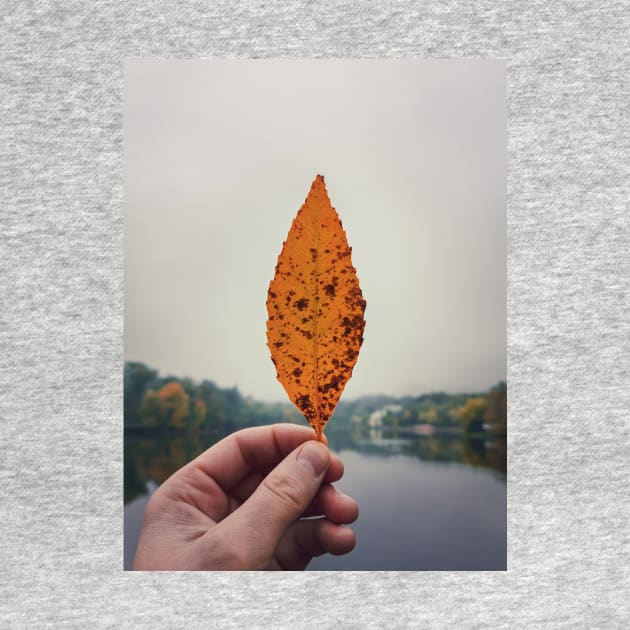 hand holding yellow leaf by psychoshadow